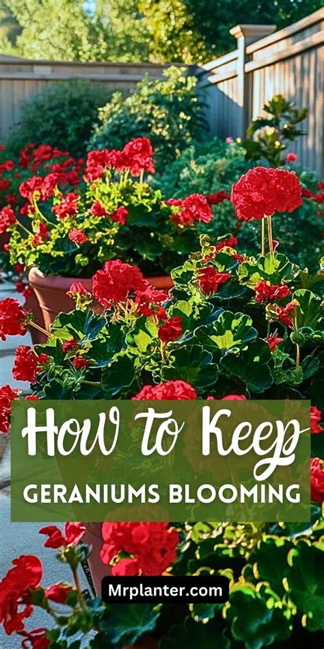 How to Get and Grow All Plants 